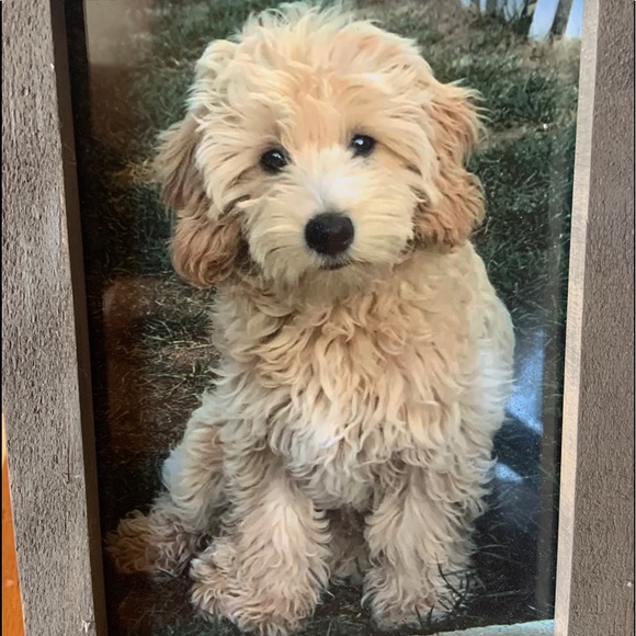 Meet your Posher, Nat! - Picture 1 of 2